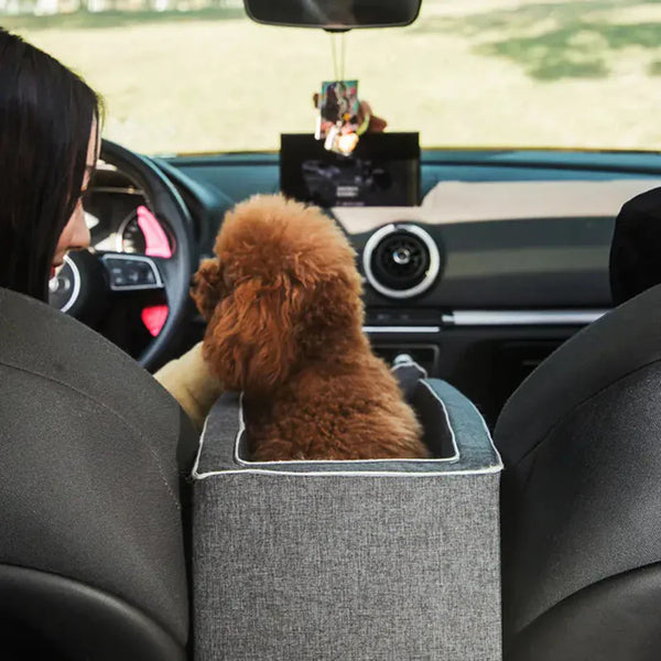 Autozitje voor Huisdieren - PawVoyage