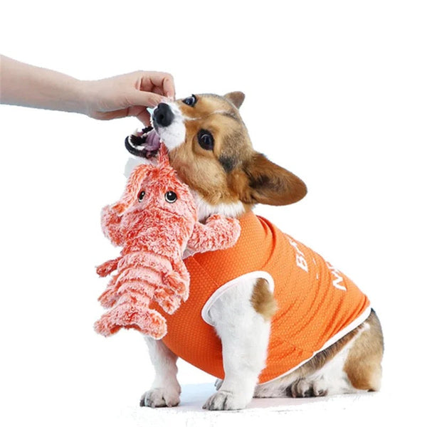 Interactief Honden Speelgoed - BouncyLobster