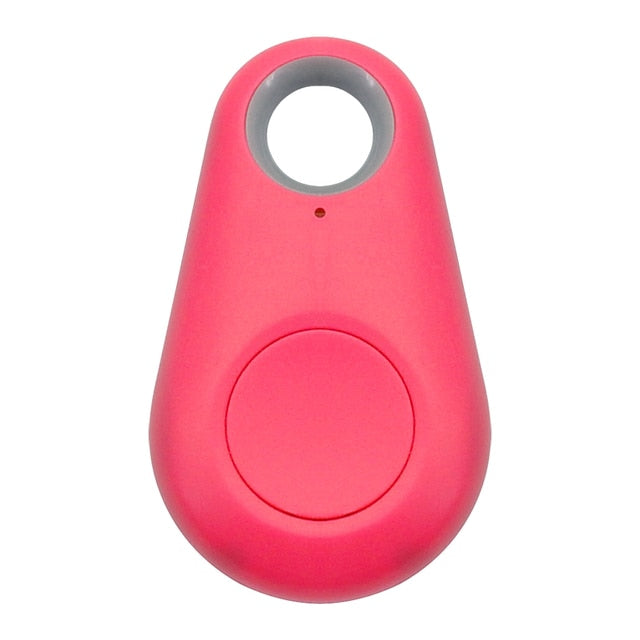 Huisdier GPS-Tag - PawFinder