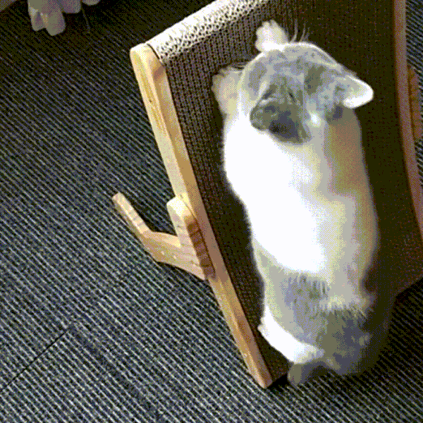 De 3-in-1 Krabpaal en Ligstoel voor Katten – ClawLounge