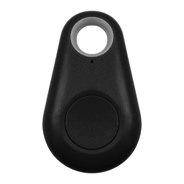 Huisdier GPS-Tag - PawFinder