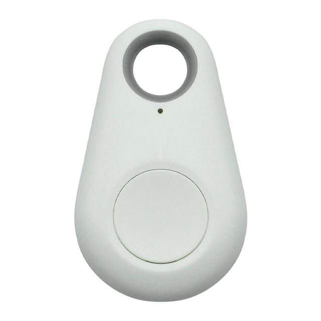 Huisdier GPS-Tag - PawFinder