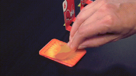 Actief Kikker Spel voor Jong en Oud – FrogFlip