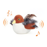 FlyFrenzy - De manier om je kat actief en vermaakt te houden!