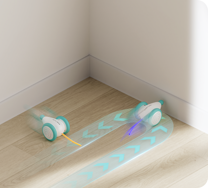 Het Ultieme Kauwspeelgoed voor Katten – WhiskerPlay