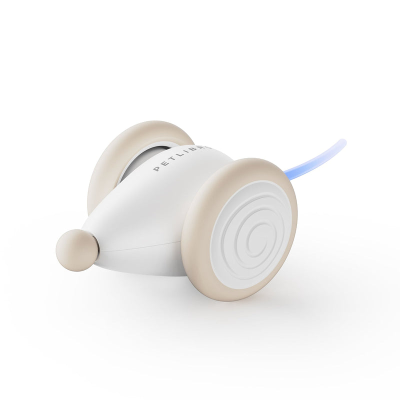 Het Ultieme Kauwspeelgoed voor Katten – WhiskerPlay