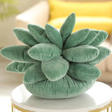 Succulent Dream | Knus met de pluchen perfectie van de natuur!