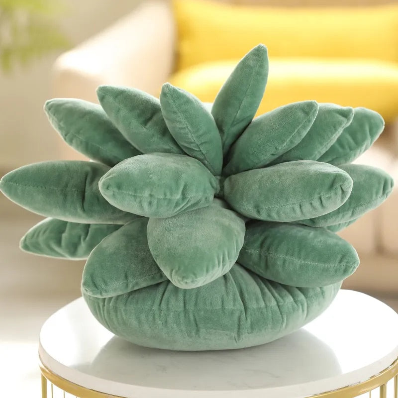Succulent Dream | Knus met de pluchen perfectie van de natuur!