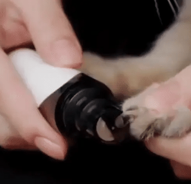Elektrische Nagelverzorger voor Honden – PawTrim