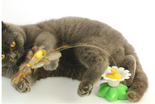 Bewegend Katten Speelgoed - FlutterPaw