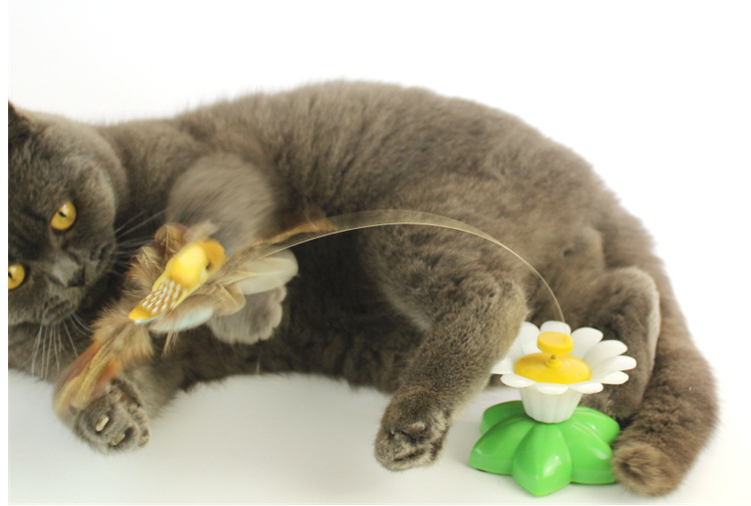 Bewegend Katten Speelgoed - FlutterPaw