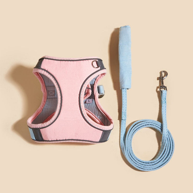 Kattenharnas – Oscar