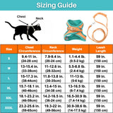 Kattenharnas – Oscar