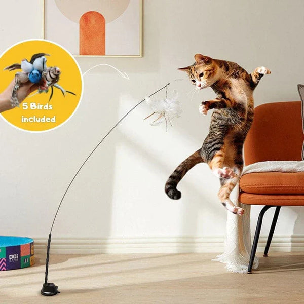 Interactief Katten Speelgoed - FlutterVriend