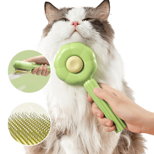Zelfreinigende Kattenborstel - PurrfectBrush