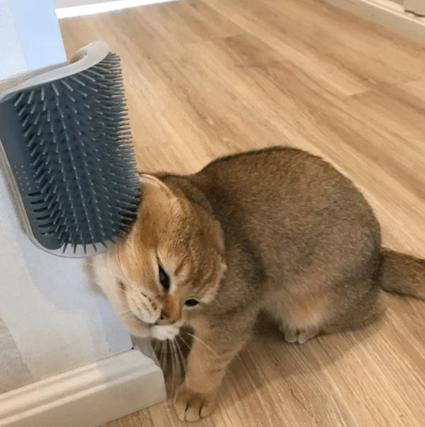 Katten-Eckbürste voor Zelfzorg - PurrGroom