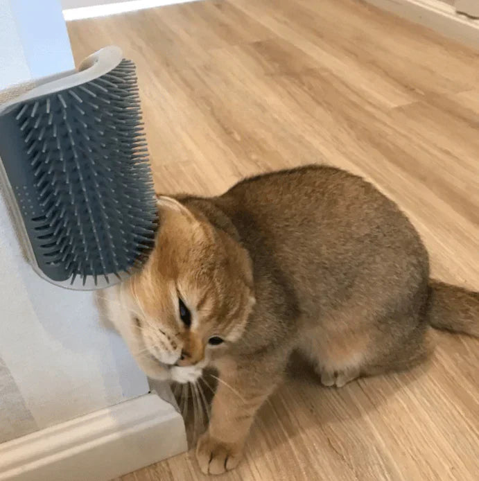 Katten-Eckbürste voor Zelfzorg - PurrGroom