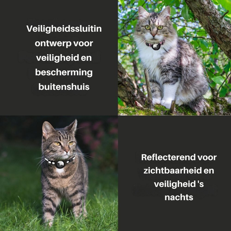 Kattenhalsband met Veiligheidsluiting - Milo