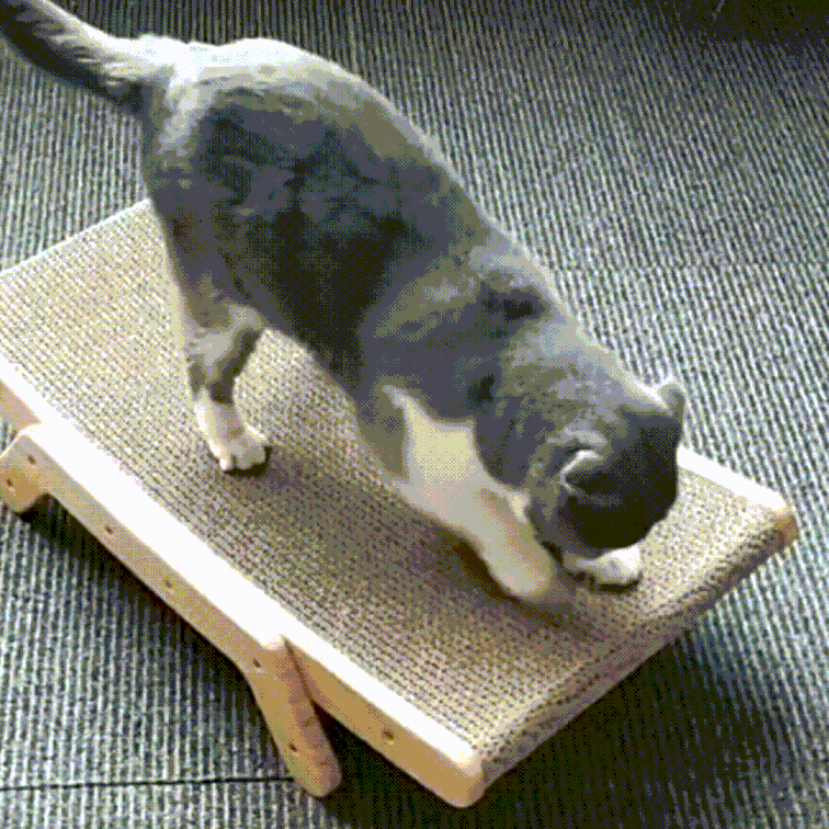 De 3-in-1 Krabpaal en Ligstoel voor Katten – ClawLounge