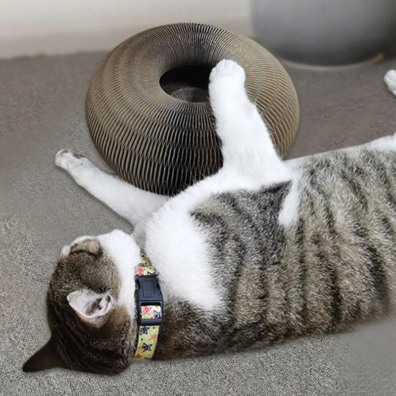 Actieve speelplezier voor je kat - PurrFit