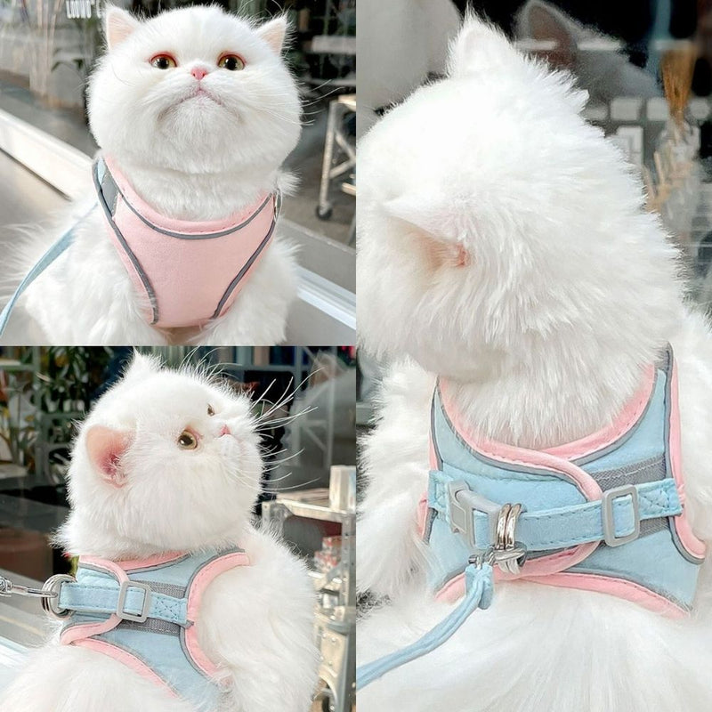 Kattenharnas – Oscar