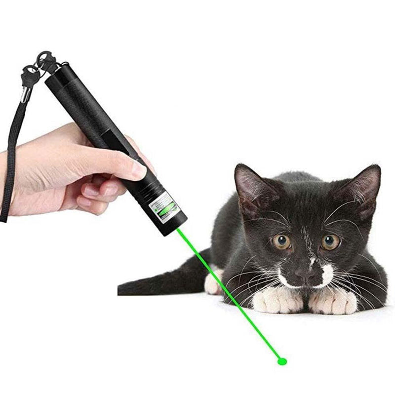 BeamForce 303 Laserpointer | Laserpointers | Krachtige groene laser voor presentaties of outdoor
