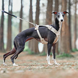 Anti-Trek Hondenharnas met Multifunctionele Leash - AquaCool