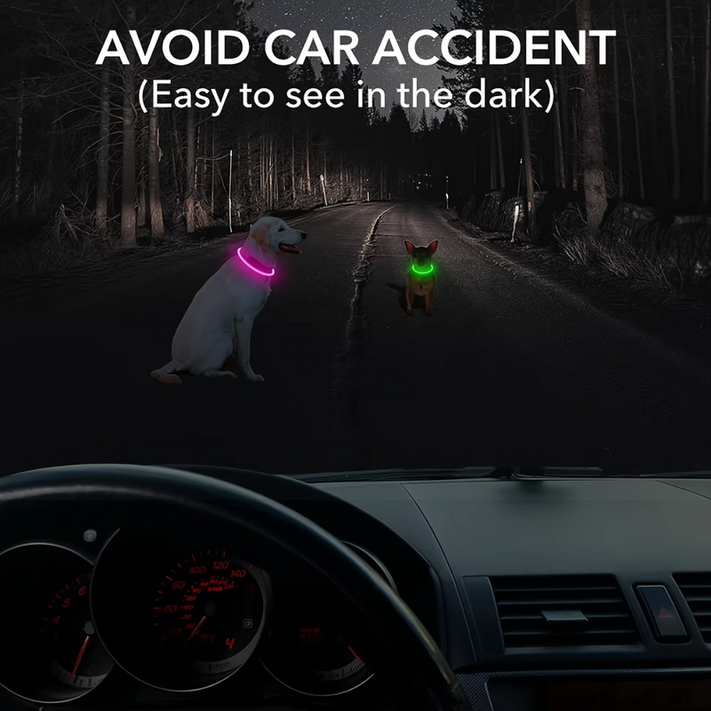 GlowSafe LED-Hondhalsband – Oplaadbaar USB-veiligheidslicht