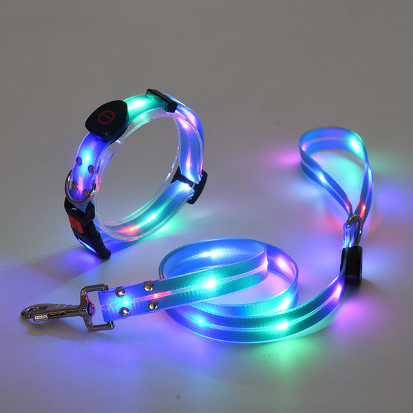 Verlicht LED Hondenhalsband met Leash - NightBright