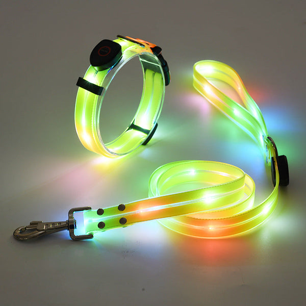 Verlicht LED Hondenhalsband met Leash - NightBright