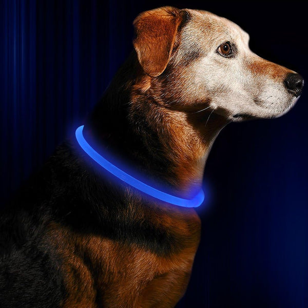 GlowSafe LED-Hondhalsband – Oplaadbaar USB-veiligheidslicht