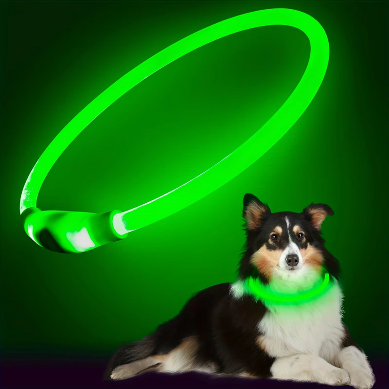 GlowSafe LED-Hondhalsband – Oplaadbaar USB-veiligheidslicht