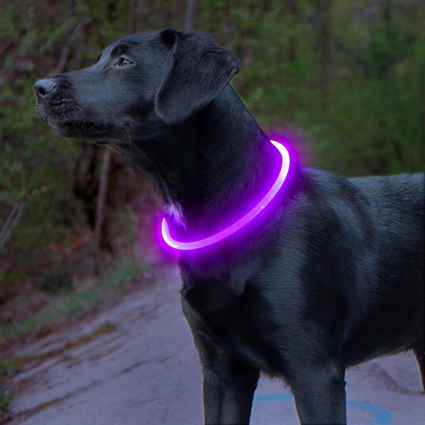 GlowSafe LED-Hondhalsband – Oplaadbaar USB-veiligheidslicht