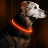 GlowSafe LED-Hondhalsband – Oplaadbaar USB-veiligheidslicht