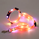 Verlicht LED Hondenhalsband met Leash - NightBright