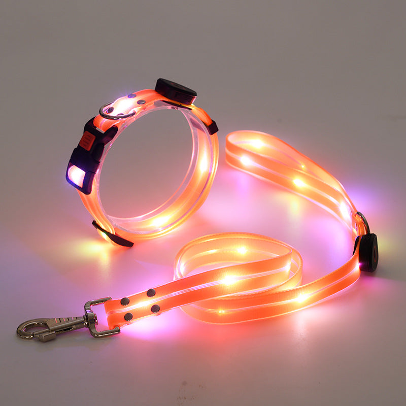 Verlicht LED Hondenhalsband met Leash - NightBright