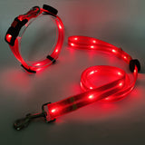 Verlicht LED Hondenhalsband met Leash - NightBright