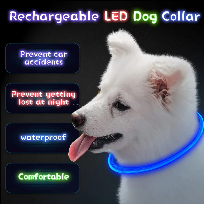 GlowSafe LED-Hondhalsband – Oplaadbaar USB-veiligheidslicht
