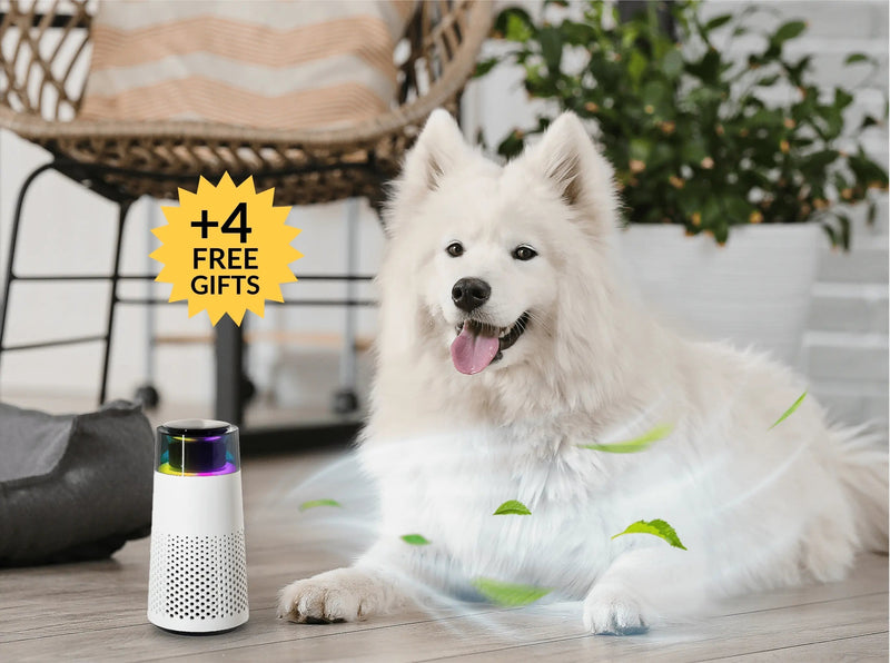 Dier-Geuroverfrisser – PetFresh