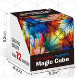 De Magnetische Creatieve Kubus - ShapeShift