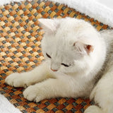 KattenComfort Bed - Trendy & Comfortabel voor je geliefde huisdier