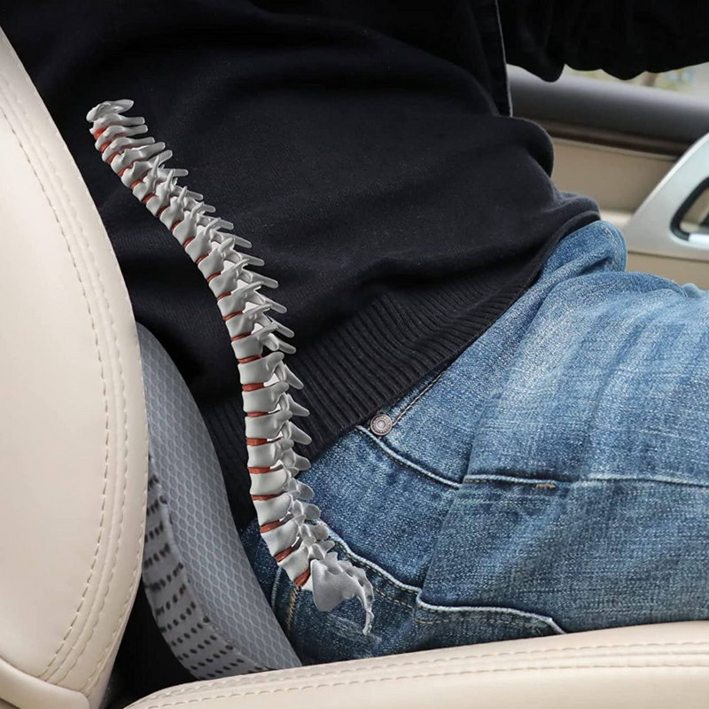 Auto-zitkussen voor volwassenen