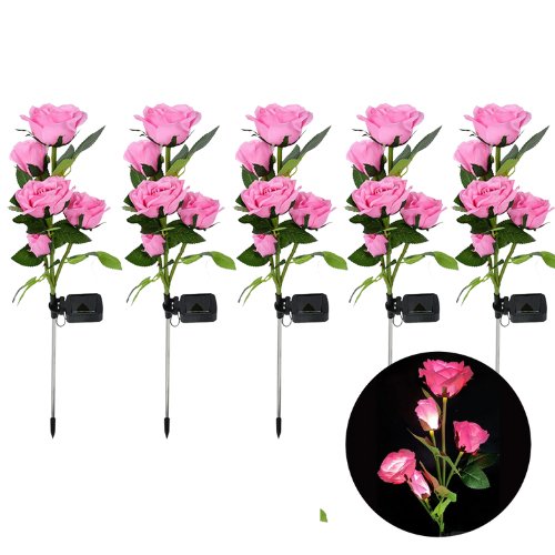 Roses | Creëer een prachtige sfeer in uw tuin!