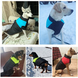 CozyPaws Hondenjas - Warm & Waterdicht