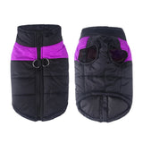 CozyPaws Hondenjas - Warm & Waterdicht