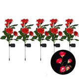 Roses | Creëer een prachtige sfeer in uw tuin!