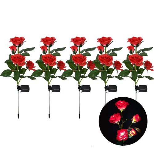 Roses | Creëer een prachtige sfeer in uw tuin!