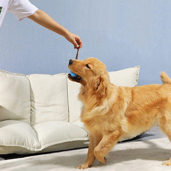 Chewie | Het leukste bijtspeeltje voor honden!