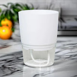 Zelfbewaterende Plantenpot – AquaBloom