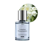 Luxe Geurverspreider voor een Frisse Auto - AromaDrive